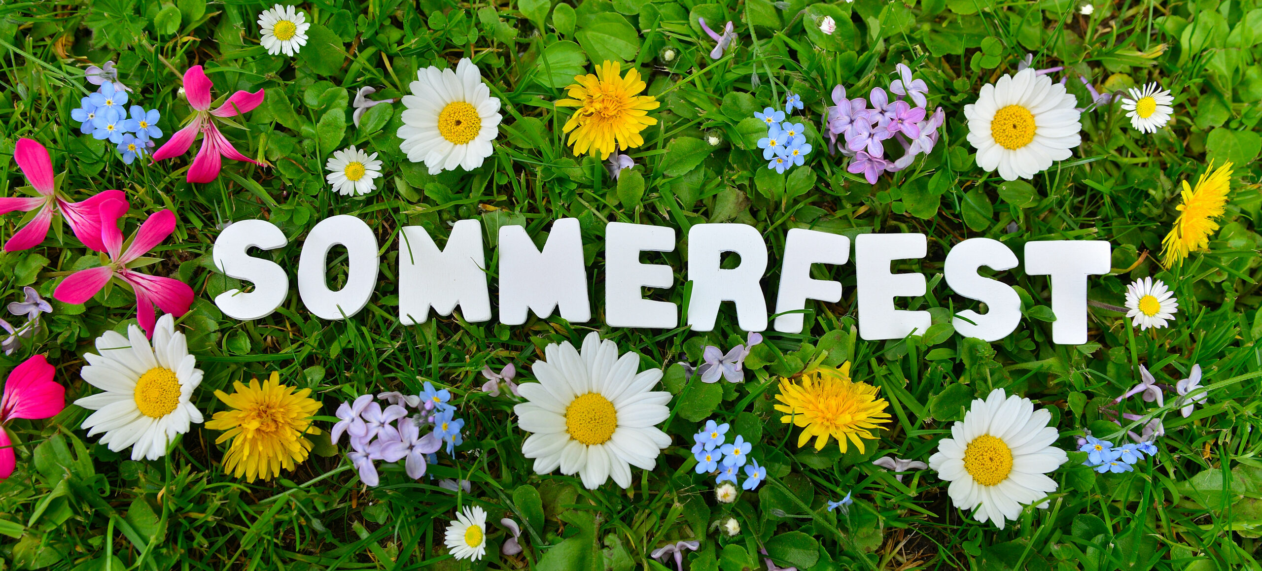bunte Blumenwiese mit Schriftzug Sommerfest